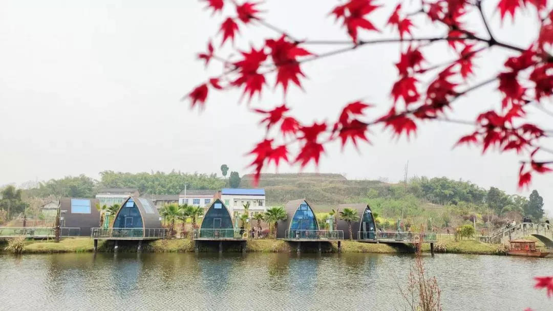 内江足球基地比赛,内江威远国际足球竞训中心