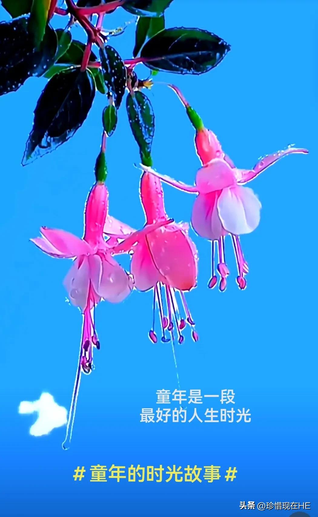 童年是人生中最美好的一段时光,童年是人生最美好的一段时光