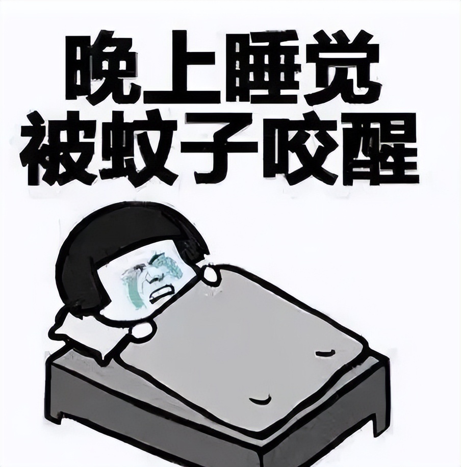 为什么广东春夏秋冬都有蚊子,广东蚊子最怕的地方