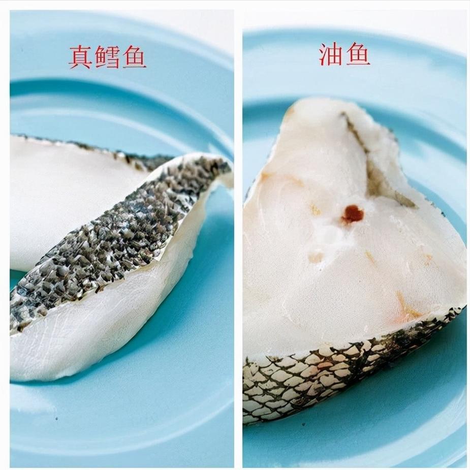 油鱼危害,巴马油鱼吃了会漏油吗