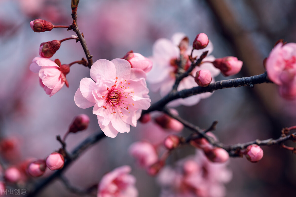 是你把我举过头顶看世界,是你把我举过头顶看到了更大世界