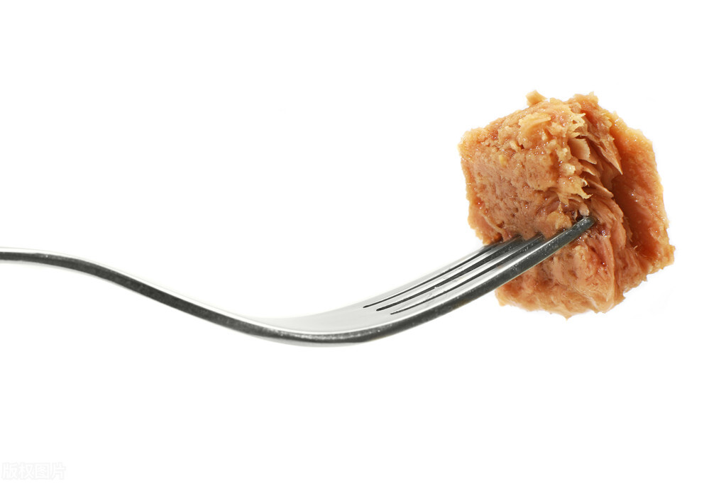 为什么有人不喜欢金枪鱼罐头,为什么外国人喜欢鲱鱼罐头