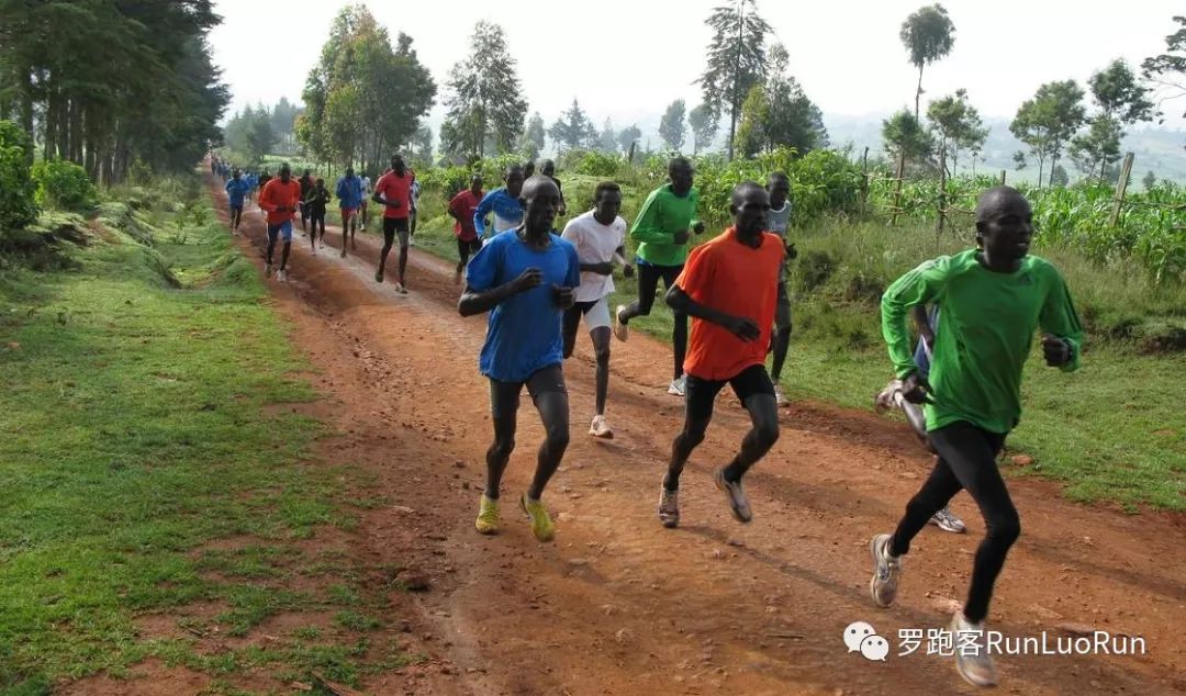听雅尼夜莺有感,听雅尼经典音乐感想