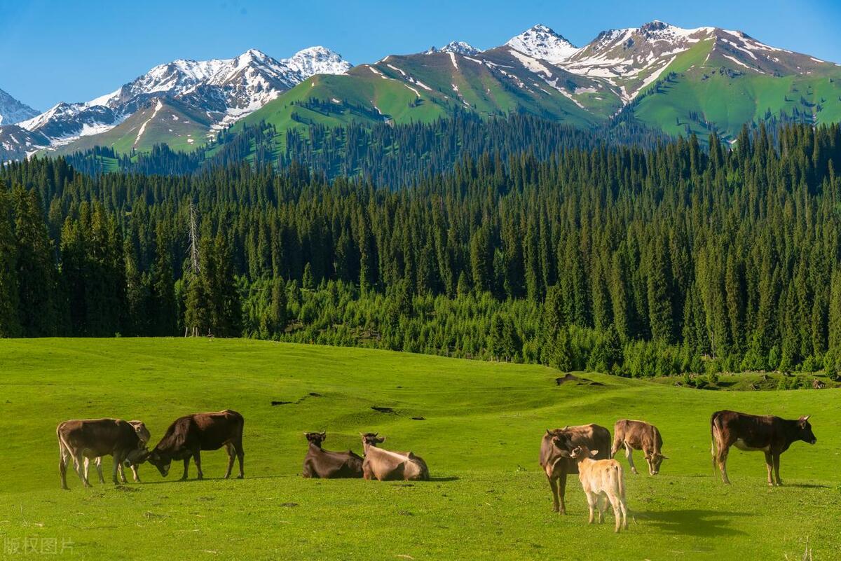 侯老师讲解当下市场行情,坚持做好市场行情分析