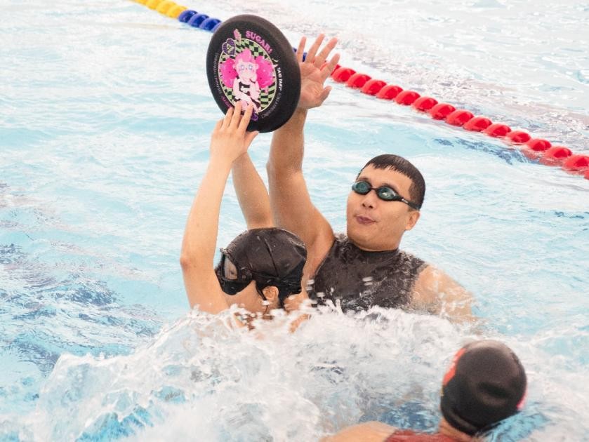 飞盘运动社群运营,飞盘运动社群