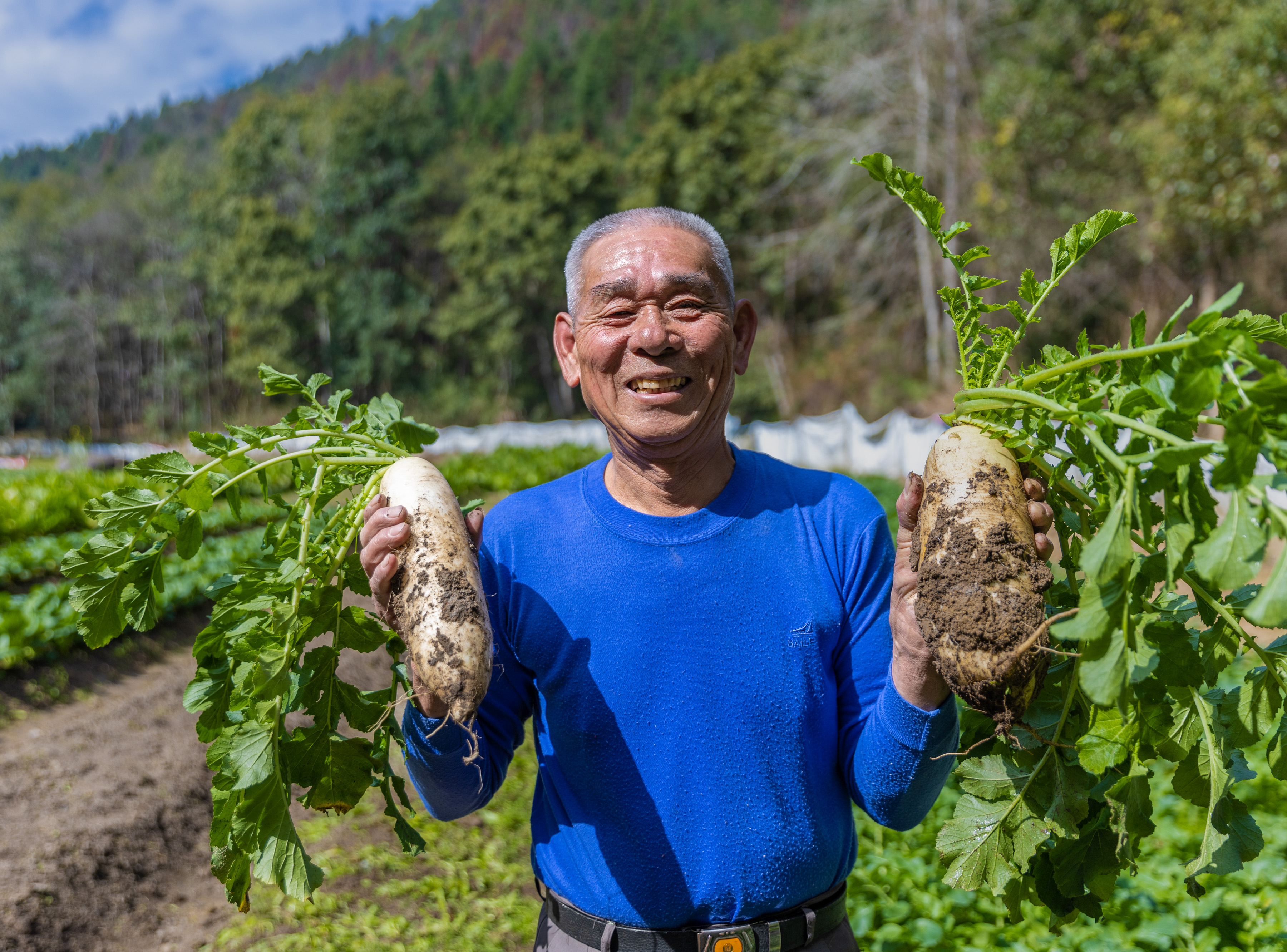 沙县马岩山庄森林康养有什么,沙县马岩康养基地