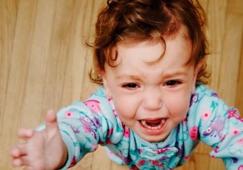 两岁孩子不会说话需要做什么干预,两岁孩子不会说话说什么他都知道