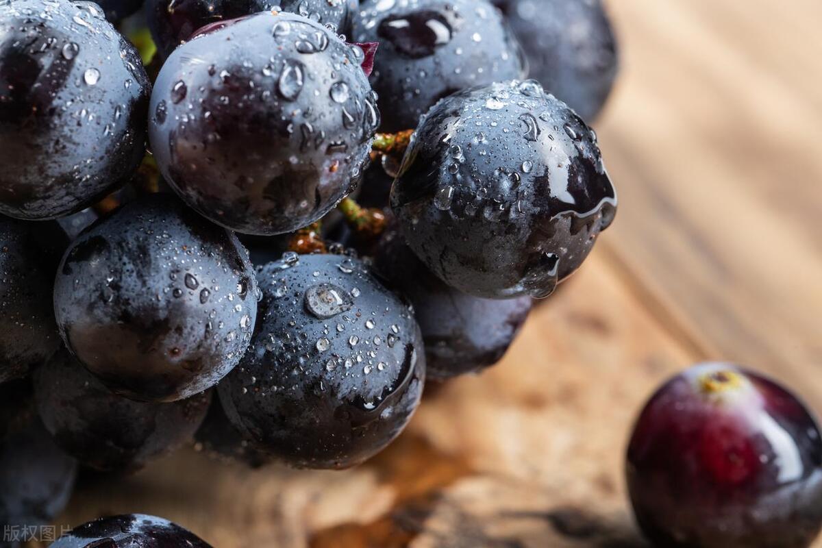 女性白癜风20岁的图片,女性白癜风是什么原因引起的