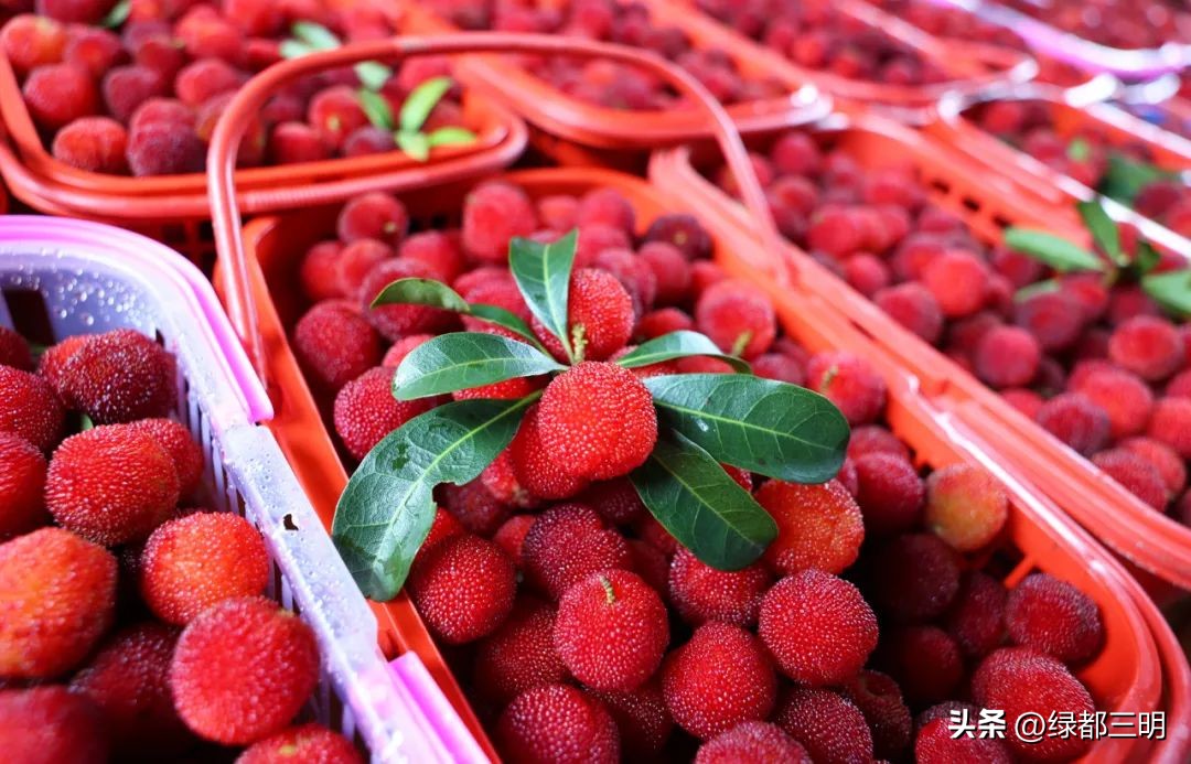缤纷水果季即将开始！来建宁释放夏日多巴胺