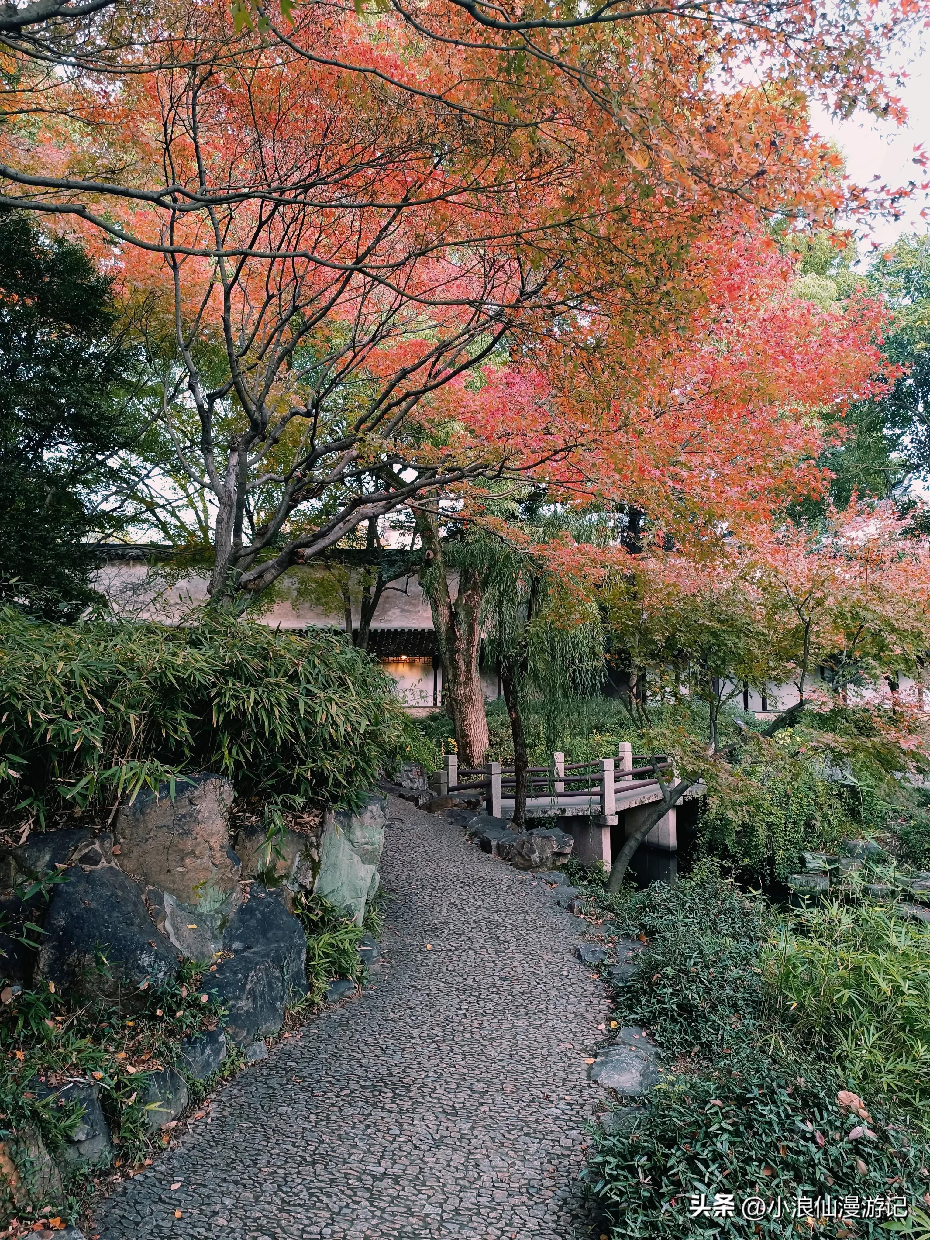 苏州天平山赏枫品茶的句子,苏州赏枫除了天平山还有哪