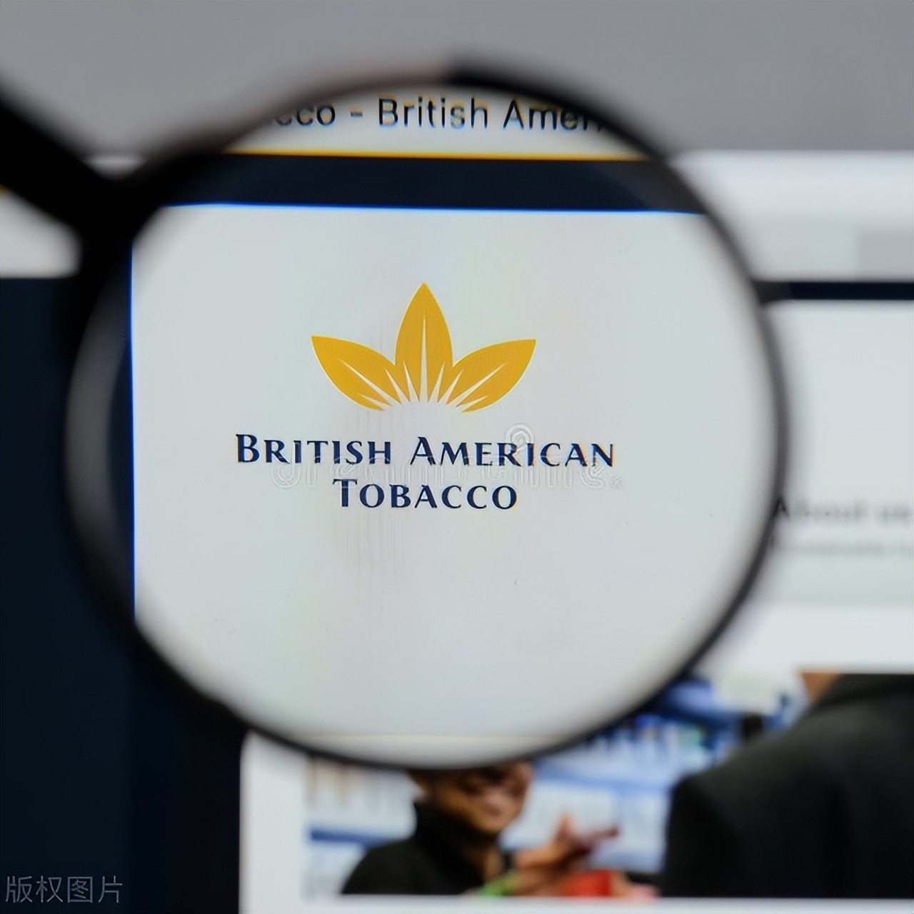 草产业的发展现状与展望,草产业发展现状与展望