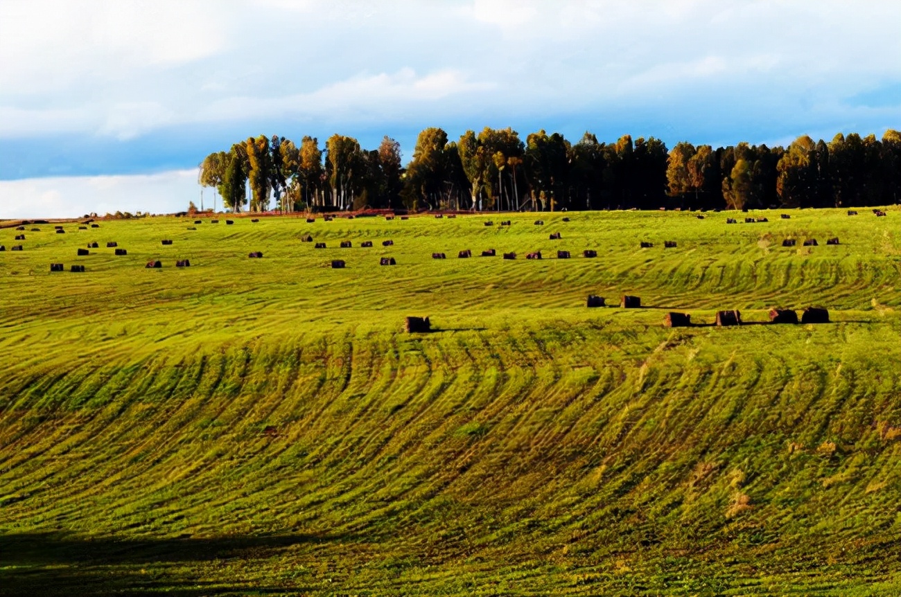 俄罗斯作为能源大国,俄罗斯是富裕的国家吗