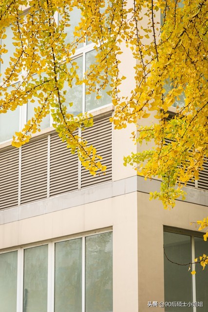 普通高校和985学校的差别,985高校和普通高校的区别