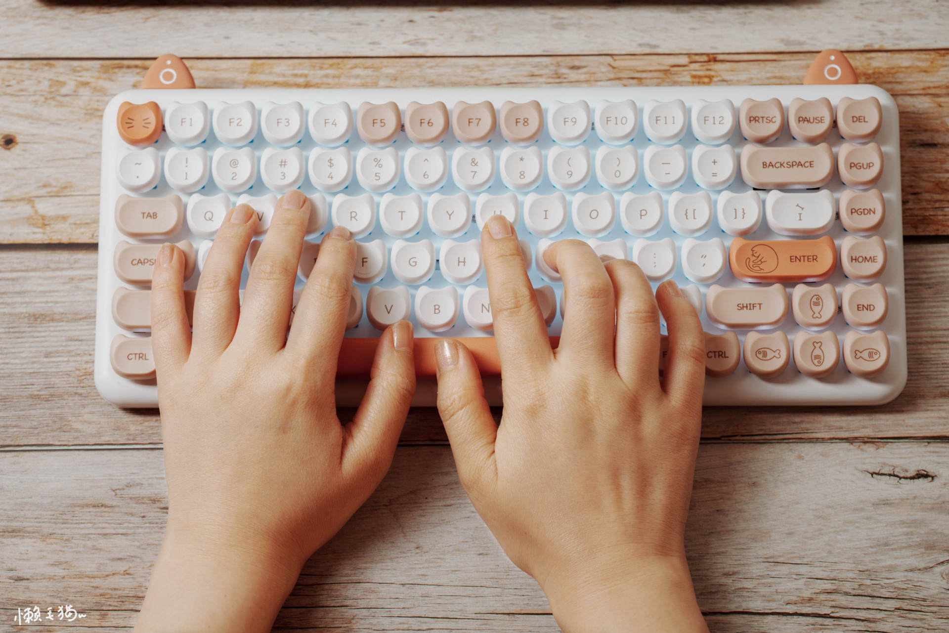 强烈推荐的键盘,推荐这几款键盘