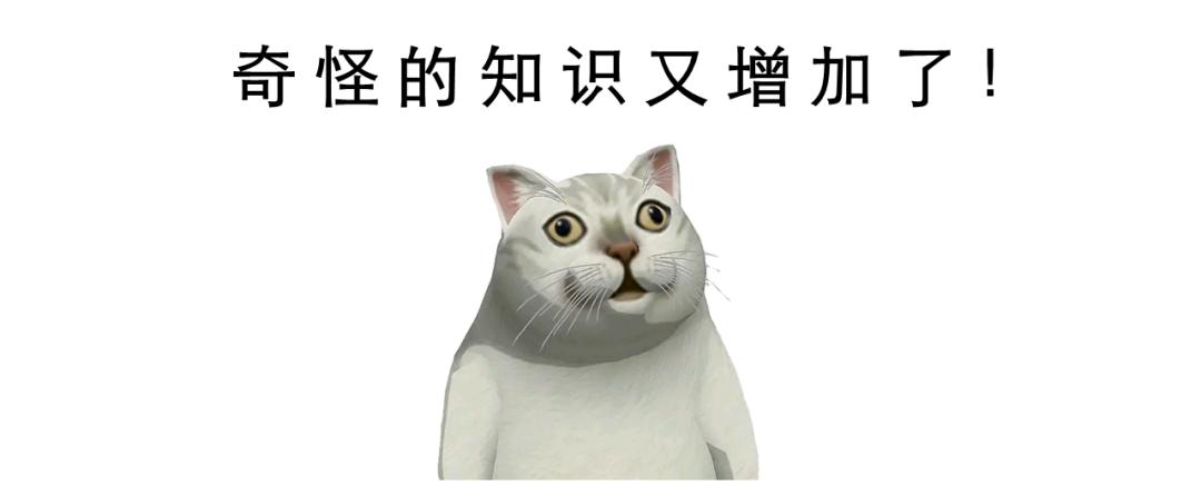 先别冲！原来你是这样的——“便便”