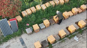 有电了！养蜂人因疫情滞留，供电公司专门拉了一根电线