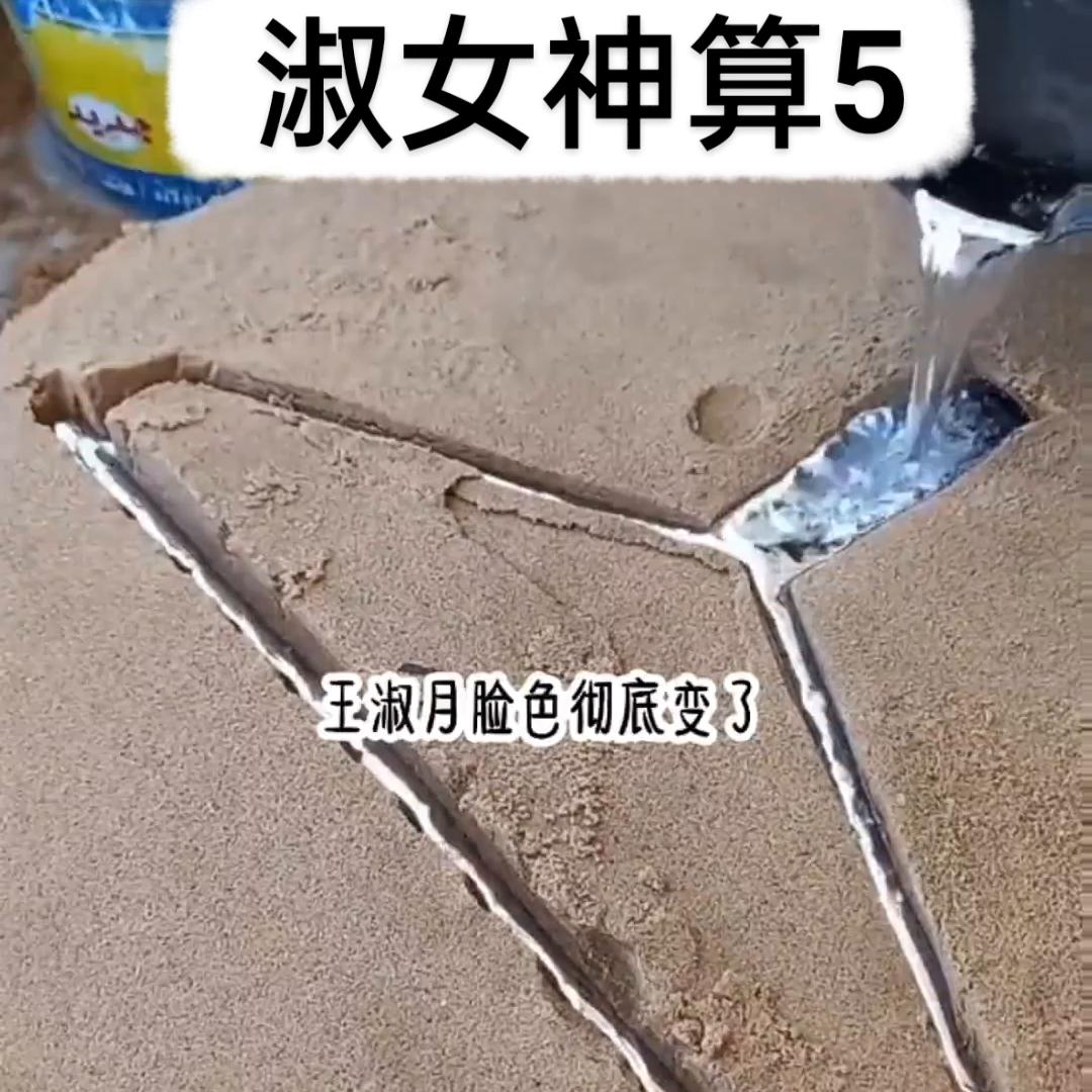 📖：淑女神算5#解压