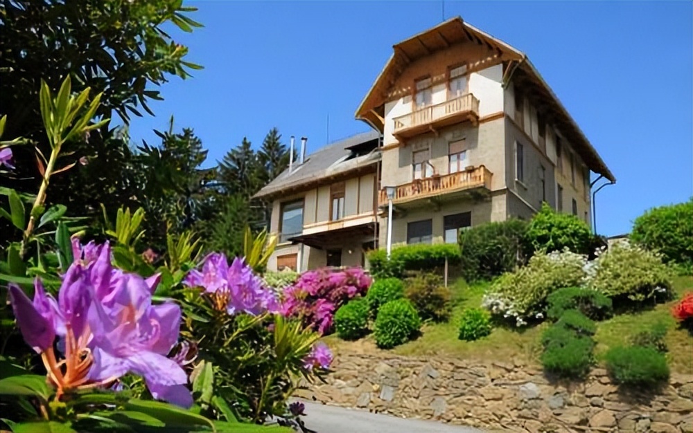 烫手山芋现在怎么样,烫手山芋