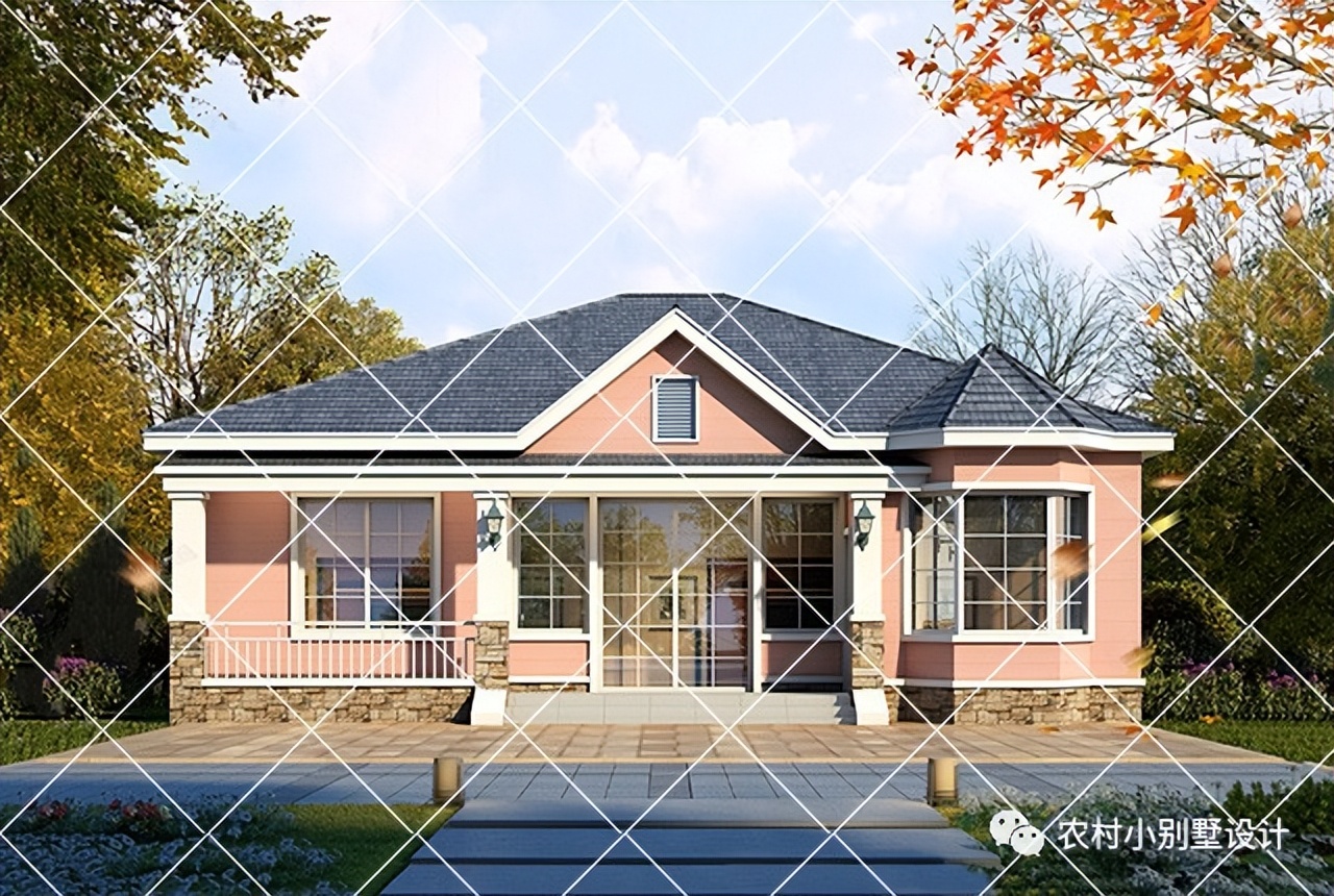 一层半层小别墅新款农村自建房,农村自建房一层别墅设计最新款