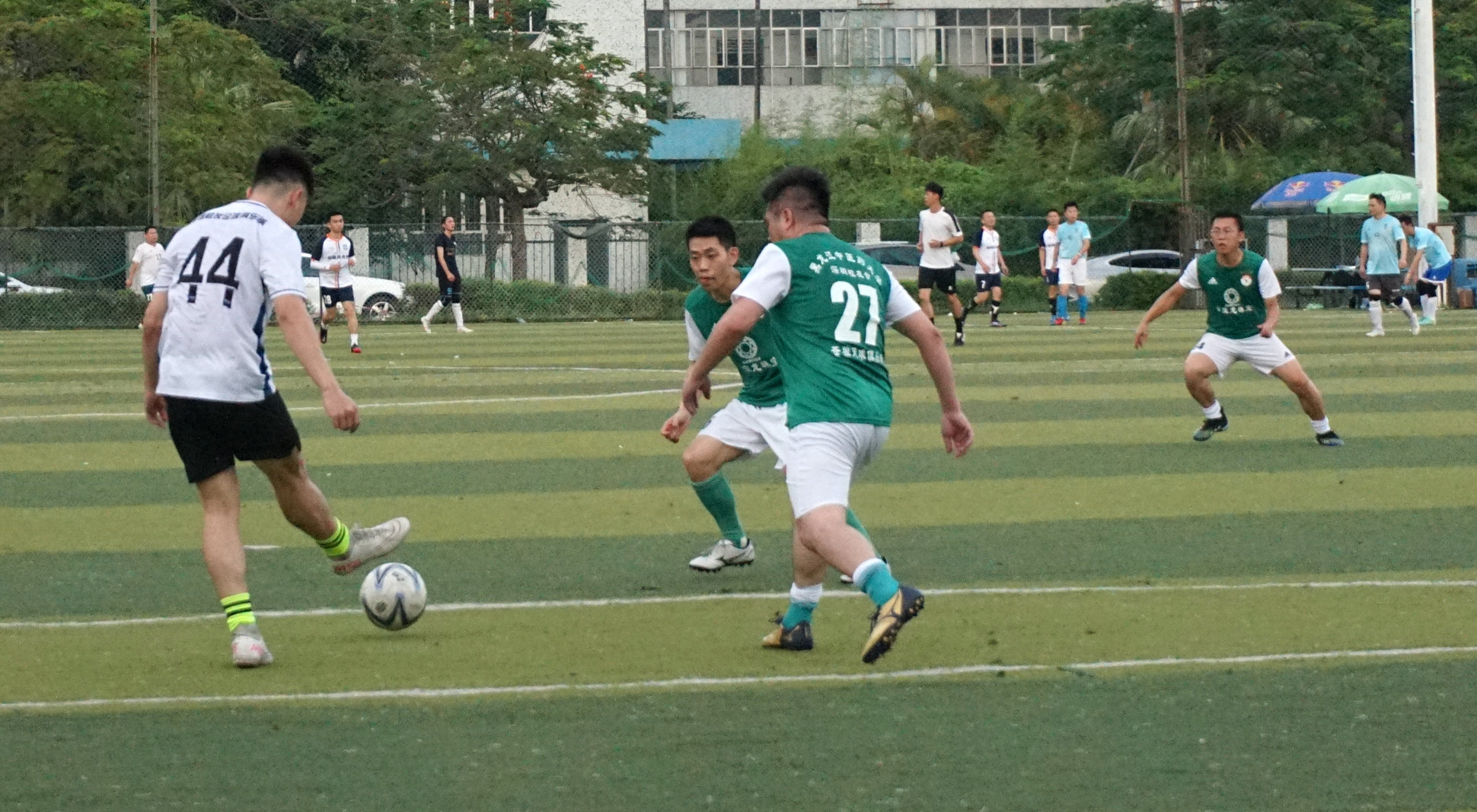 西南财大vs金强,苍狼vs老虎