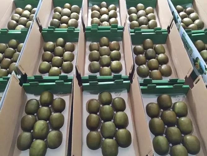 猕猴桃为什么称为水果之王,猕猴桃是不是水果之王