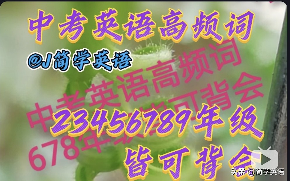 百家号的专栏收益在哪看,百家号一月收入2万