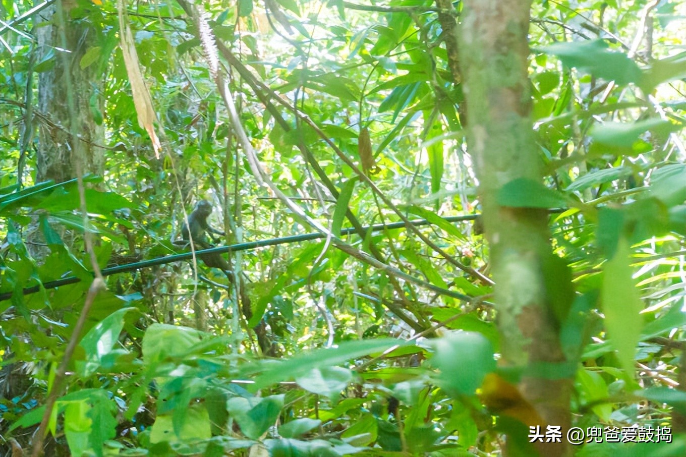 登岛旅游,仙本那和敦沙卡兰哪个好