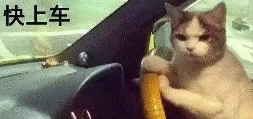 生殖器下面做埋线手术,生殖器埋线有什么危害