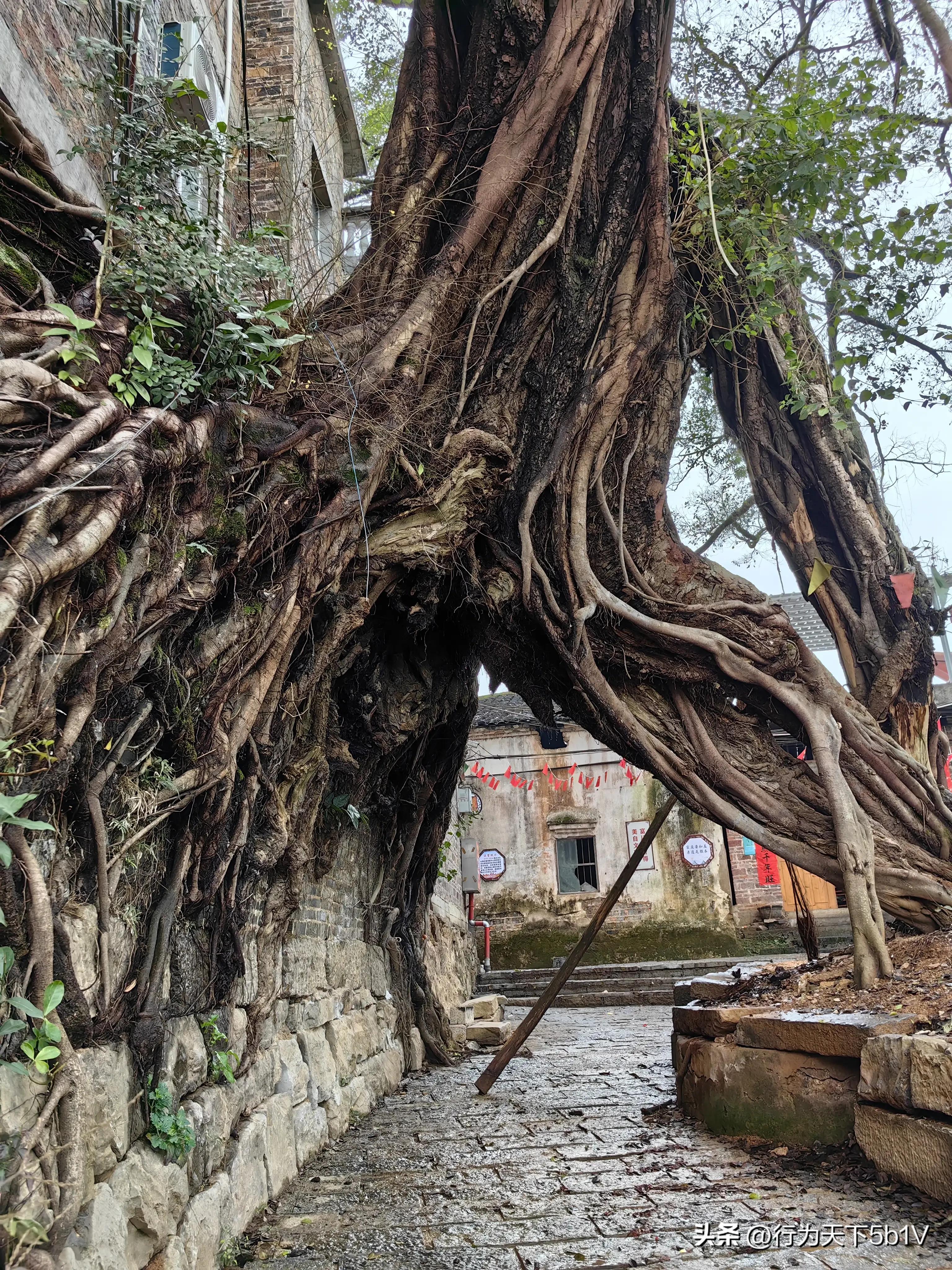 【平乐十里画廊鬼斧神工伟人石像】穿越唐*平宋**乐榕津千年古镇！