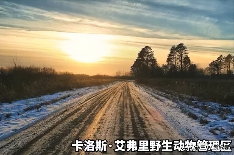 14岁少年爱上女老师，跟踪15年，最终将她塞进衣柜，美国旧案