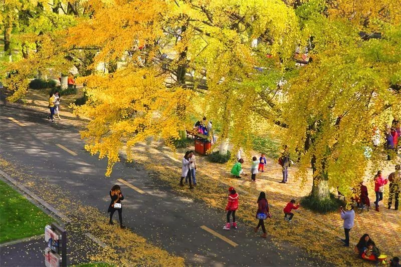 国家批准设立！又一大会在京举行，四川一高校2人获全国重磅表彰！