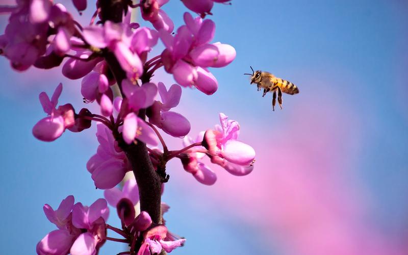 五句与春天有关的诗词,关于春天的100首经典诗词