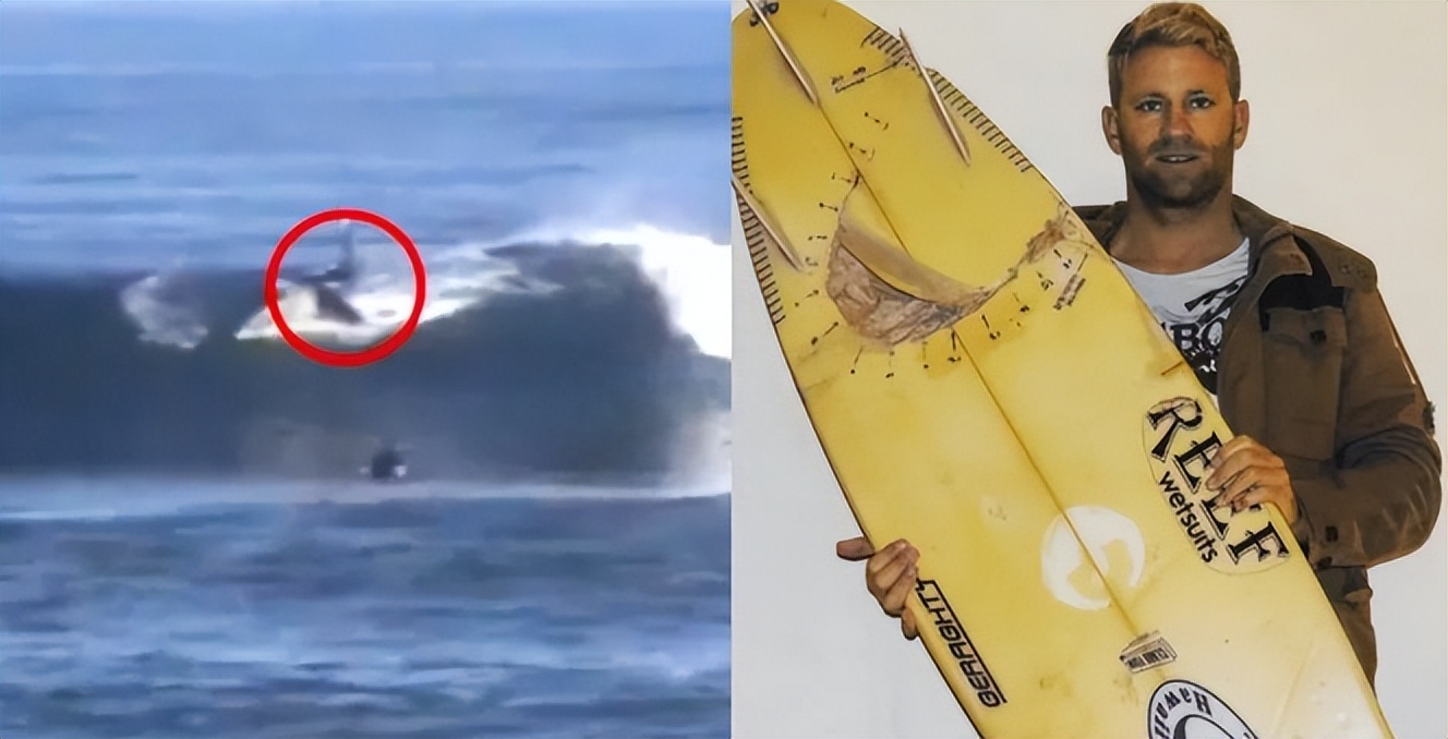 涓栫晫鍗佸ぇ瓒呮ā韬潗鍥剧墖鍥炬枃,涓栫晫鍗佸ぇ瓒呮ā鎯婅壋鍐欑湡