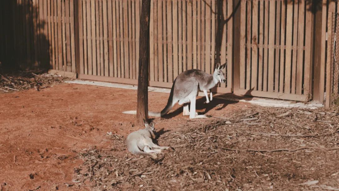 如何分析试卷提高成绩,做试卷能提高成绩吗