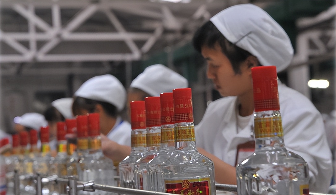 以真点亮品牌之光，万茗堂应邀与央视主持人董倩《对话中国品牌》