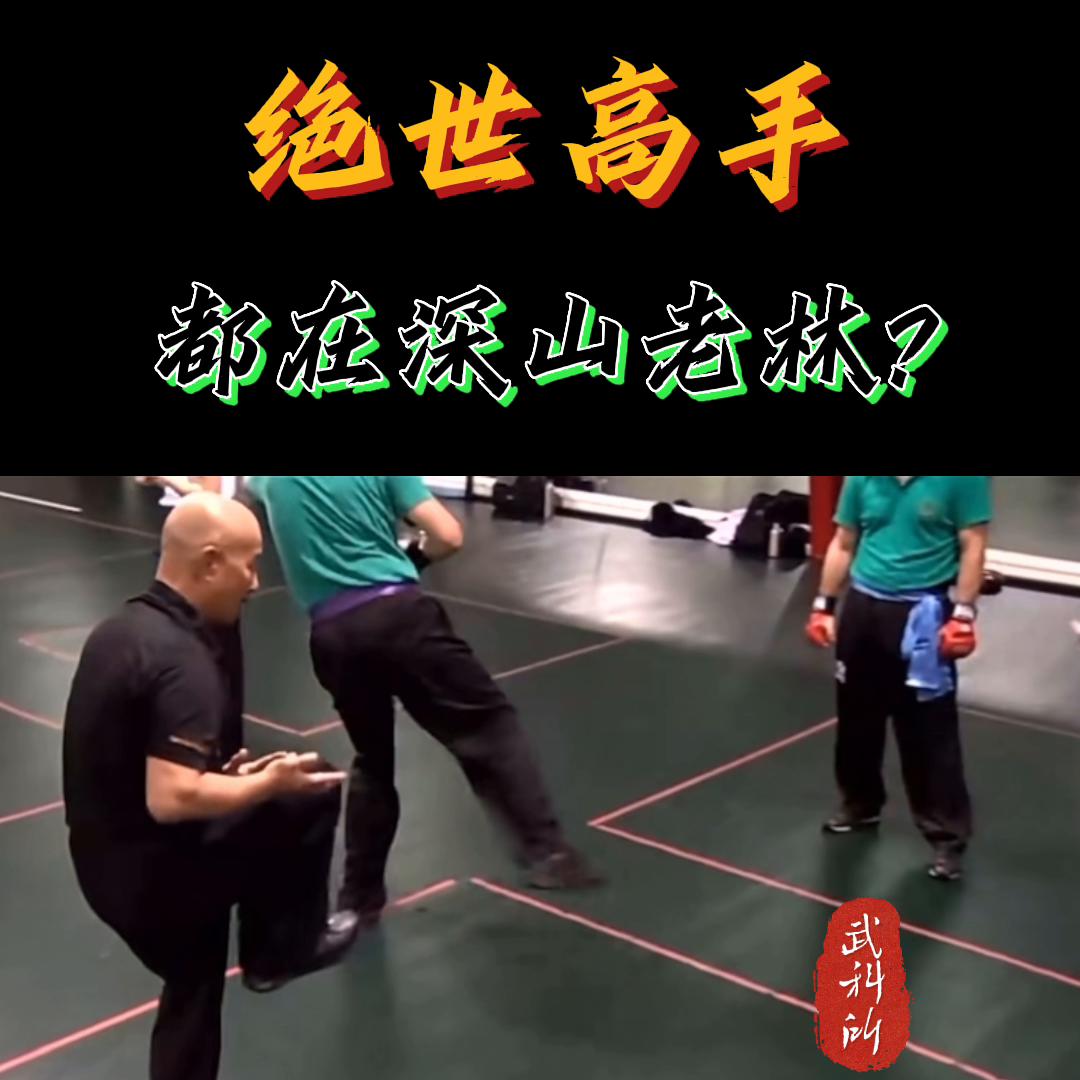 深山老林的高手,深山老林高手