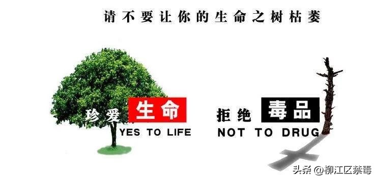 涓婂ご鐢靛瓙鐑熷浜轰綋澶氬ぇ浼ゅ,鐢ㄧ數瀛愮儫鐨勫嵄瀹冲拰娉ㄦ剰浜嬮」