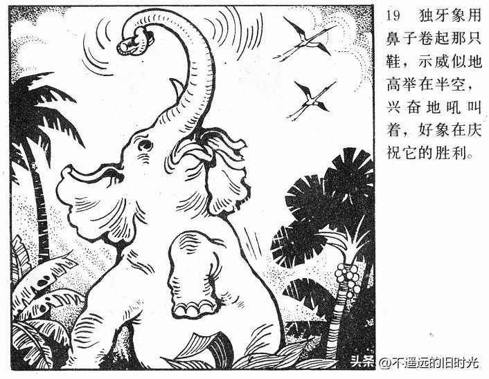 大象搬家,大象搬家河北