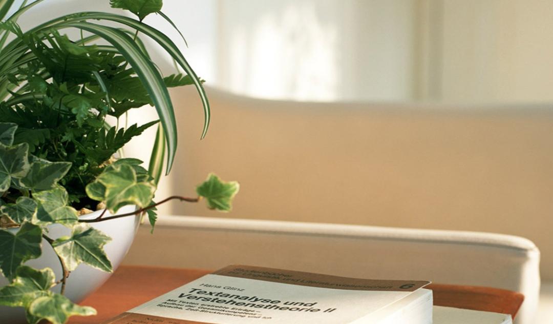 留住男人的心只靠手段,拴住一个男人的心靠魅力么