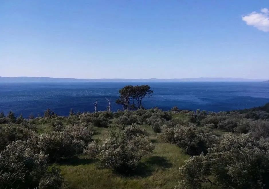 退休女人骑行,退休女性骑行