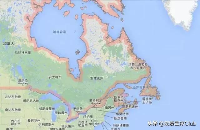 拉布拉多照片和资料,详细讲解拉布拉多的故事