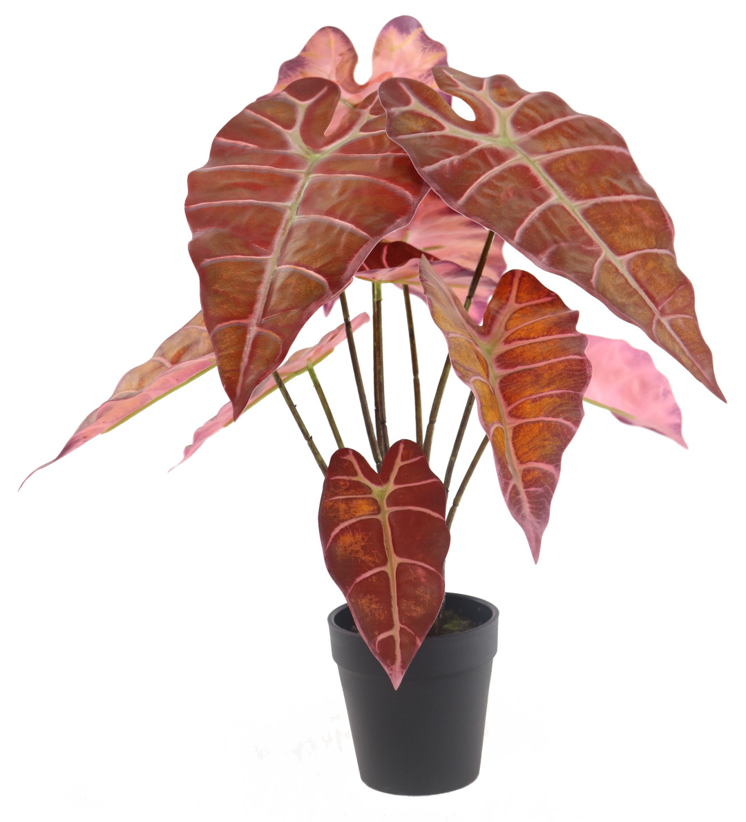 仿真花最好的是什么,仿真花有很逼真的吗