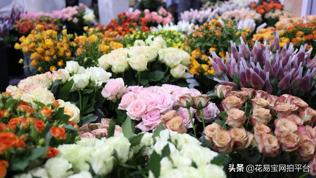 情人节送花送什么最好,情人节送花什么花可以放的时间长