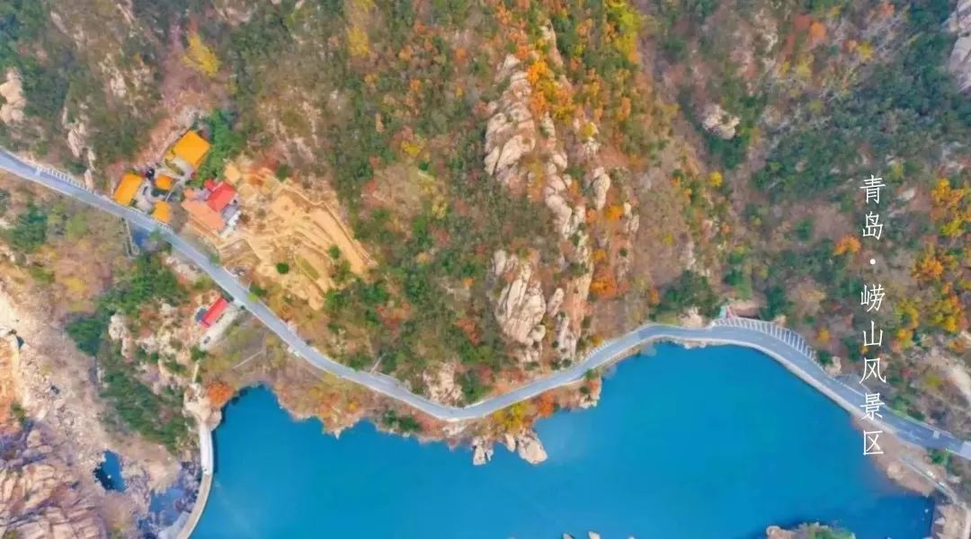 邀您共赏春,邀您一起奔赴冬日之约