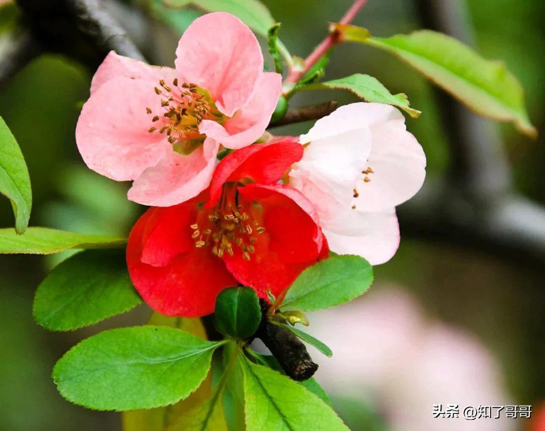 大龄剩女对待情感,大龄剩女为什么那么高傲