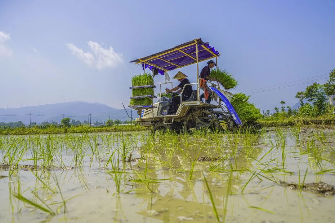 希望有更多的惠农政策,从农民眼中看惠农政策