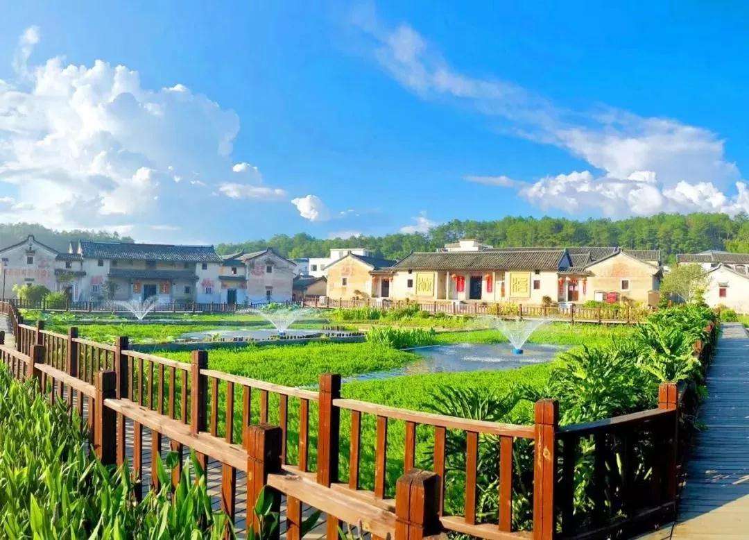 乡村振兴什么产业最好赚钱,乡村振兴适合农村创业的好项目