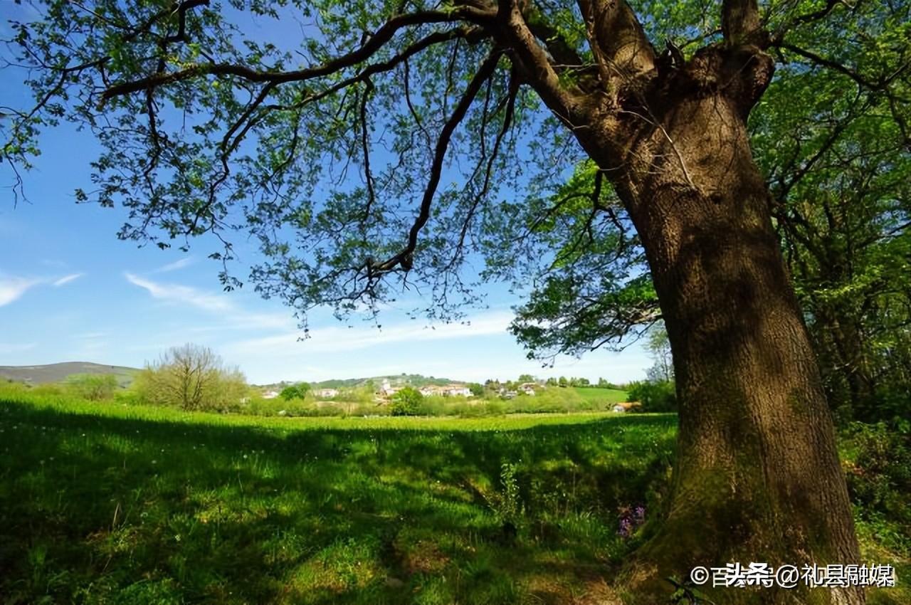 余秋雨的经典语录及人生感悟,余秋雨的经典语录人生感悟大全