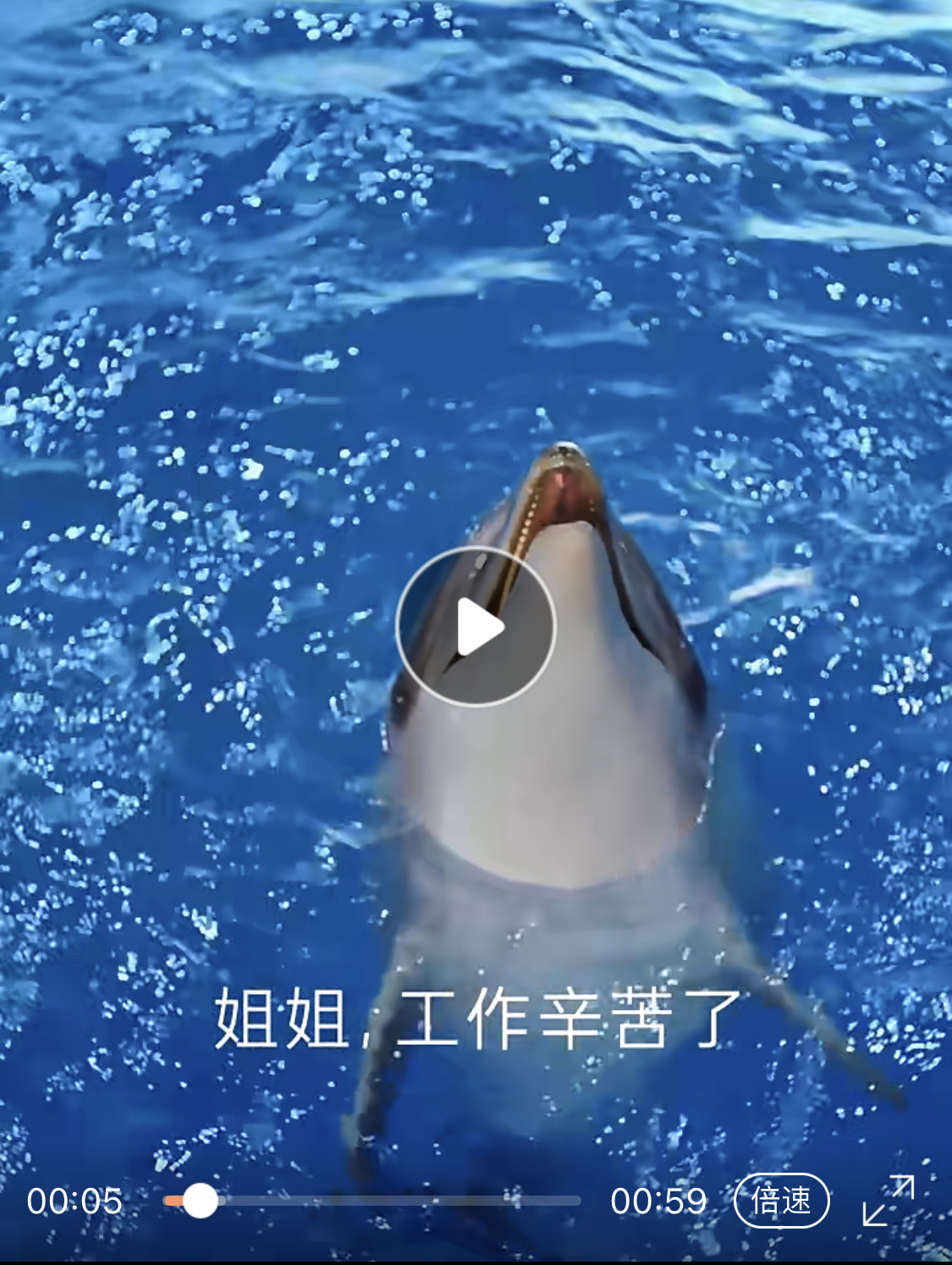 热点l膜法世家道歉了，背后的教训你值得研究