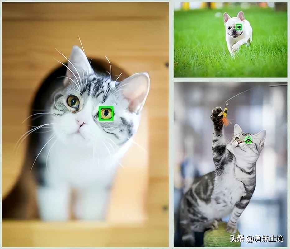 怎样挑选一款好的微单相机,高性价比相机微单